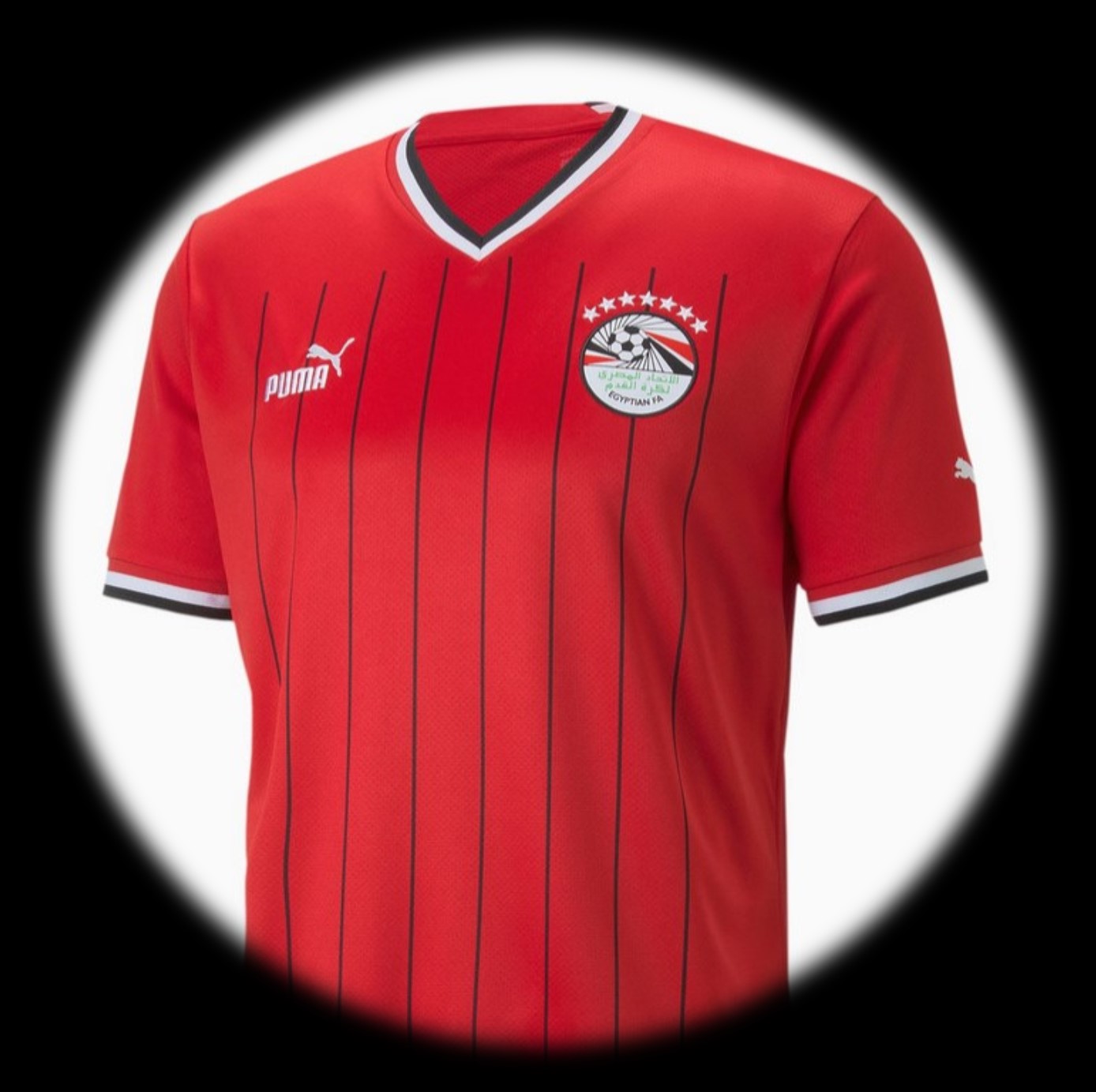 foto de equipo para Egipto