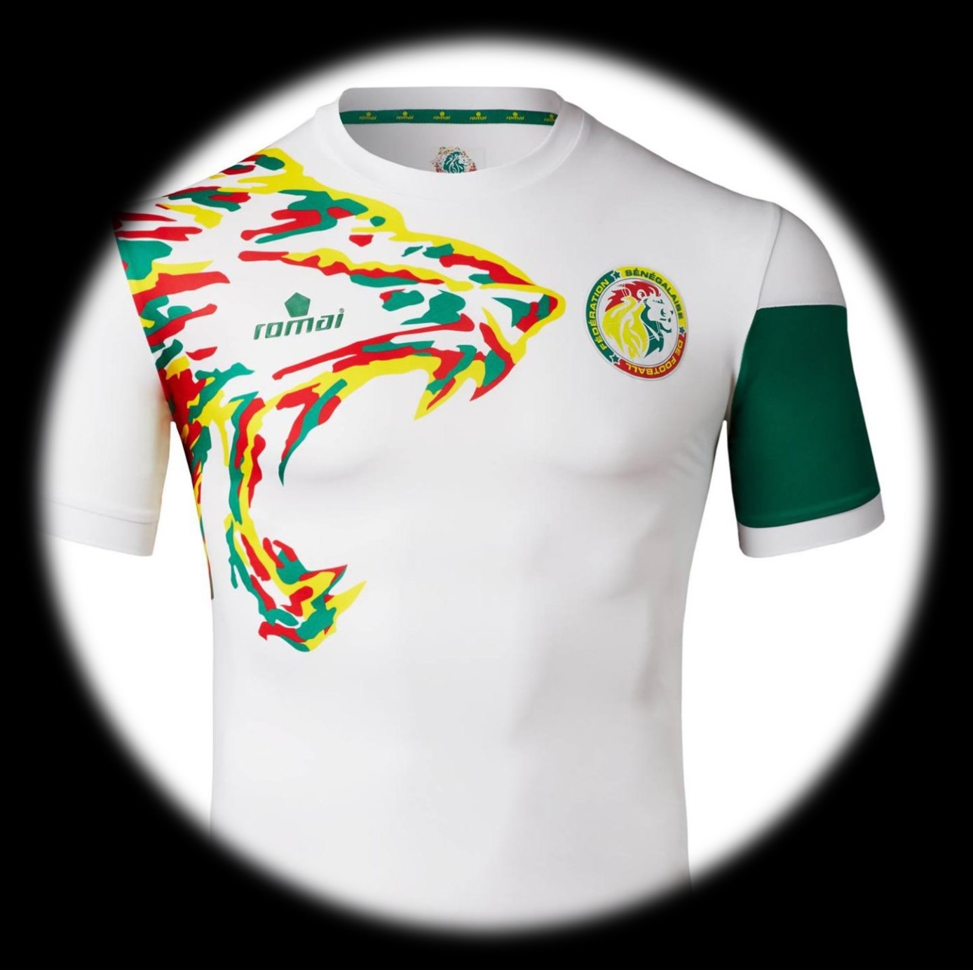 foto de equipo para Senegal