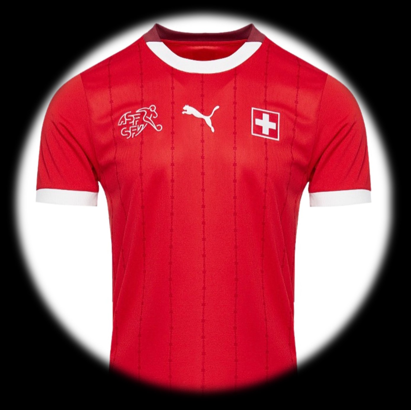 foto de equipo para Suiza